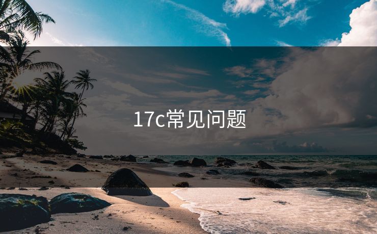 17c常见问题